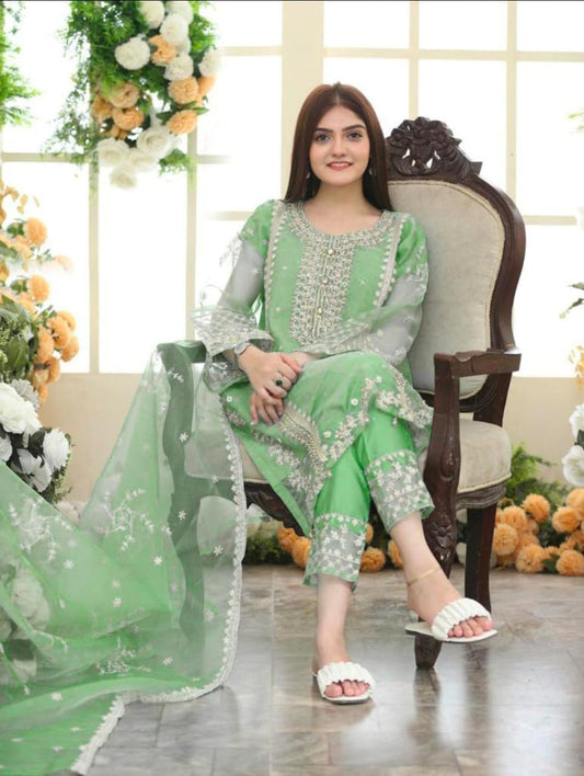 Fancy Embroidery Organza 3pcs For Girls