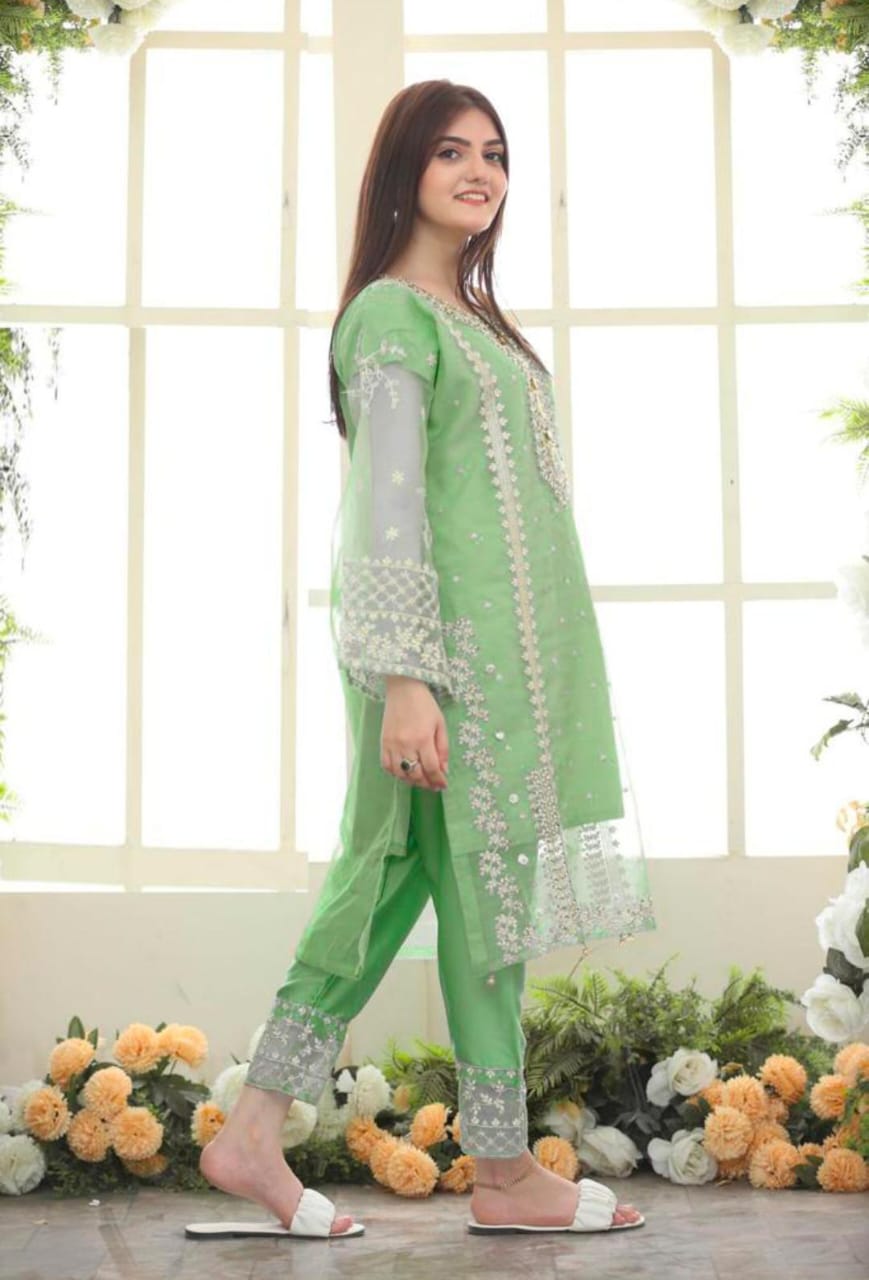 Fancy Embroidery Organza 3pcs For Girls